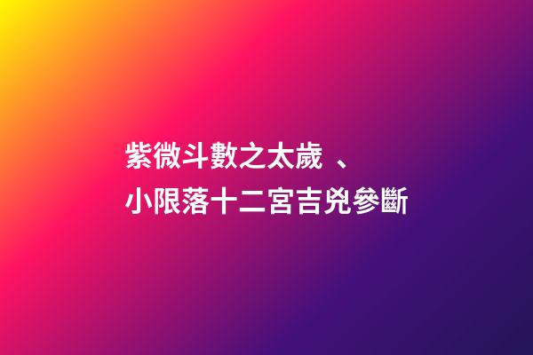 紫微斗數之太歲、小限落十二宮吉兇參斷